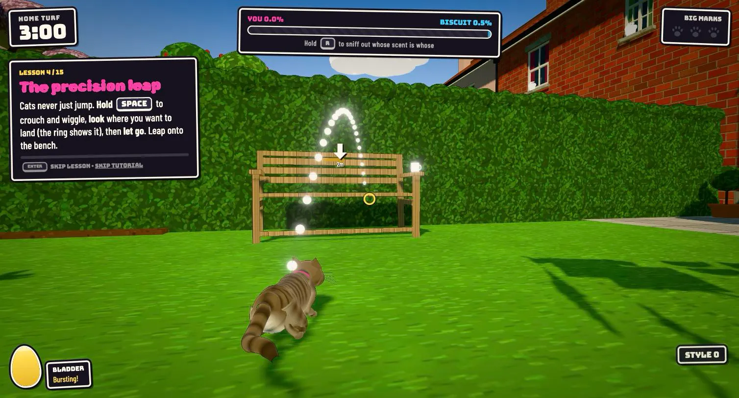 The tutorial’s precision leap: the cat crouches, aiming an arc at the garden bench