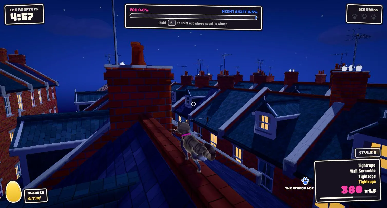 The cat balancing along a roof ridge at night among chimney stacks