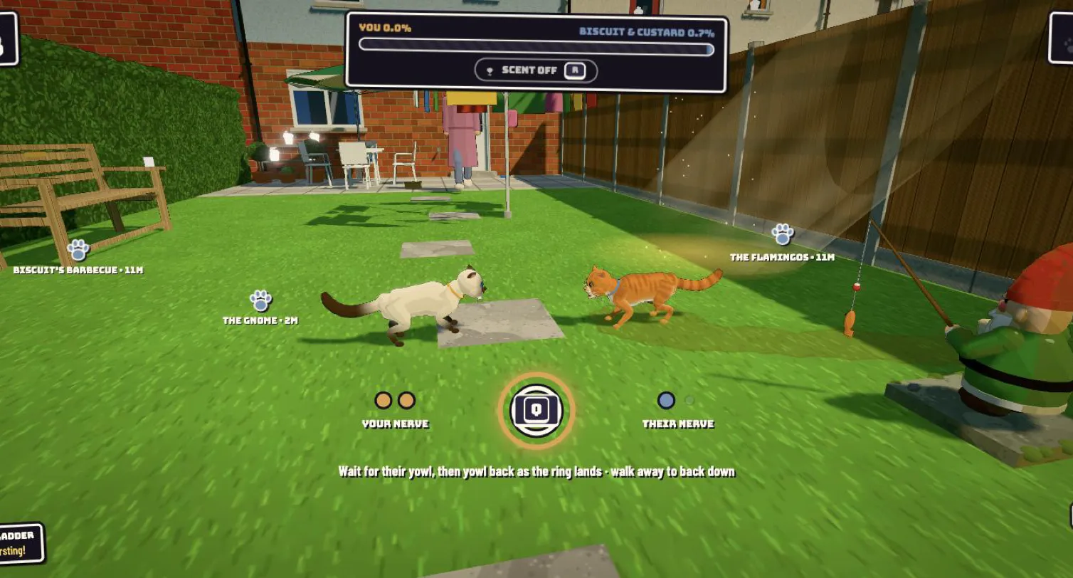 A stand-off on the lawn: Mog and Biscuit face to face, with the yowl ring and both cats’ nerve